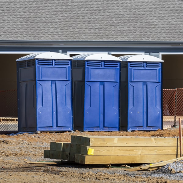 how often are the porta potties cleaned and serviced during a rental period in San Patricio